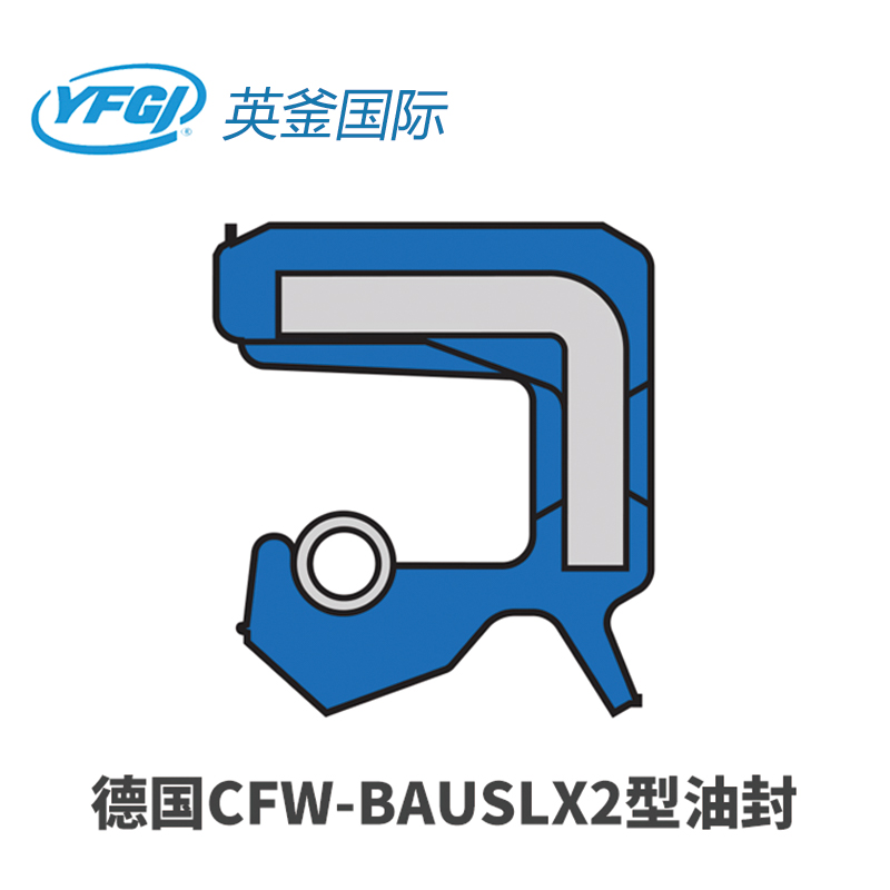 CFW-BAUSLX2型油封